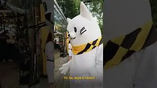 Пуш на Кубке билайна | Сила ветра