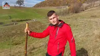 Băiat de 18 ani la oi vizitat toată noaptea de lupi