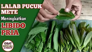Libido Pria Meningkat dengan lalab pucuk daun jamu mete
