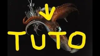 TUTO PECHE des Calmars en r&eacute;gion PACA/ANTOMICOU FISHING 2019
