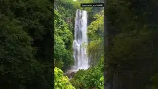 Beautiful waterfalls video | Beautiful nature whatsapp status | Beautiful waterfall | natural beauty