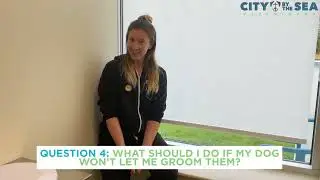 Dr. Kasten Discusses Dog Grooming