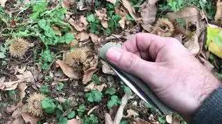 Massdrop Keen Bronze by Ray Laconico