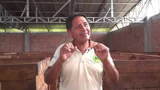 Proceso del cacao