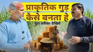 Asli Organic Jaggery: Bina Chemical ke 