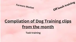 Compilation of dog training clips