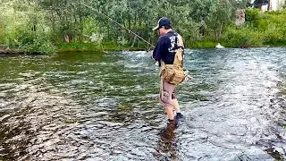 Trout fishing in crystal clear water stream 