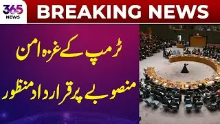 Breaking News | UN approves the Trump administration's plan for the future of Gaza | 365 News