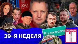 Редакция. News: 39-я неделя