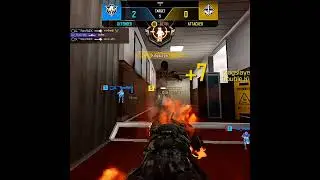 Best Termite Kill EVER #codm #snd #multikill #epickills #triple #teamwipe #raafnex