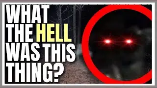 Что за хрень! ЭТО КРАСНЫЕ ГЛАЗА В ЛЕСУ? (РЕАЛЬНЫЕ КАДР)
