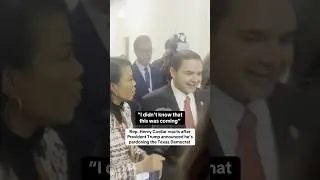 Rep. Henry Cuellar reacts after Trump announced he's pardoning the Texas Democrat #shorts