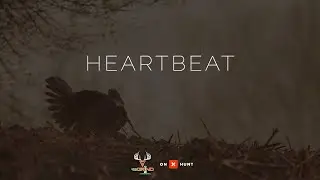 Heartbeat