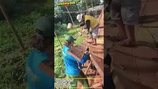 Traditional Rare Wood Boat Building: Teamwork in Plank Assembly