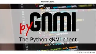 pygnmi. Demo of gNMI Get request