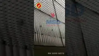 Monkey Safety net installation in Kerala, Kochi, Ernakulam
