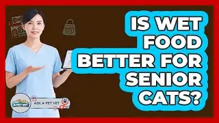 Is Wet Food Better For Senior Cats?