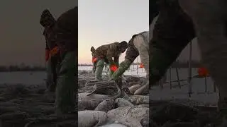 ❄️🐟 Как работают потомственные рыбаки-северяне