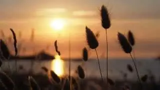 André Rieu  -  And The Waltz Goes On