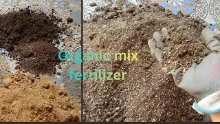  plant ko phool🌹 aur phal🍊🍒 se bhar dega ye fertilizer //#Mix organic fertilizer 