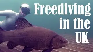 UK Freediving : Finding fish in London Lake