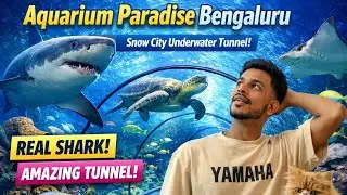 Aquarium Paradise Bengaluru | Snow City ke Andar Underwater Tunnel ka Amazing Experience #faisalblog