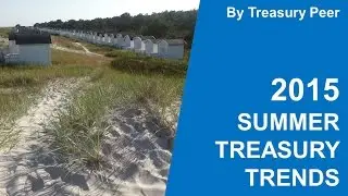 Summer 2015 Corporate Treasury Trends by Treasury Peer