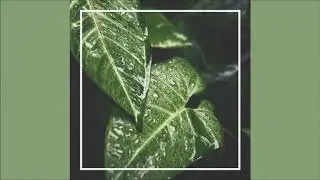 Caulden - Feelings