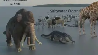 3D Wildlife Wonders: Animal Size and Varieties | Nature's Giants: 3D Animal Size Comparison