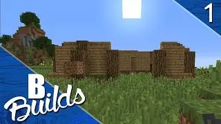 B Builds : The Early Days