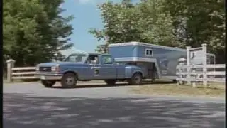 Adventures of the Black Stallion S1E1 - part 3