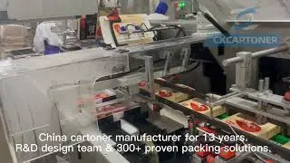 China automatic cartoner manufacuturer for 13 years