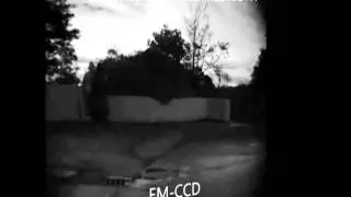 Raptor Photonics Hawk EMCCD compared to Sony EXview CCD in night time conditions.