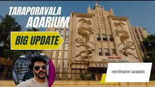 Taraporevala Aquarium Vlog | Mumbai&rsquo;s Oldest Aquarium | Honest Tour! 🐠| Vlog #2