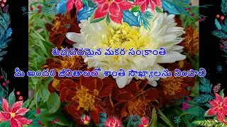 Happy Makar Sankranti | wishes, messages, greetings/Whatsapp Status/Best Wishes//Quotes/HD Video