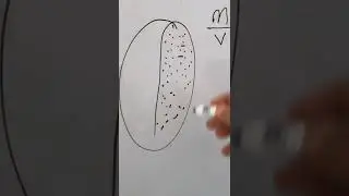 أهمية معرفة الكثافة والرطوبة عند تحميص القهوة