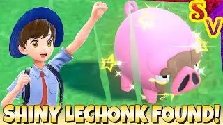 Shiny Lechonk Found Using Outbreak Method in Pokemon Violet!