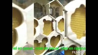 mel en panal...miel en panal..miel en rayons ...honey comb.. bienenwabe