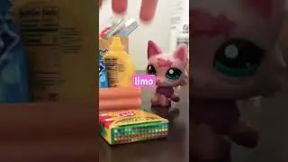 Mini brands and littlest pet shop! Pt.1 #littlestpetshop #lps  #minibrands #fun