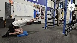 Cable Kneeling Lat Pressdown