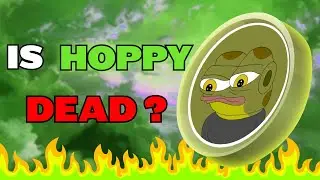 What Happened to $HOPPY Coin?