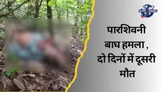 Parshivani - पारशिवनी बाघ हमला , दो दिनों में दूसरी मौत - parshivani tiger hamla ||
