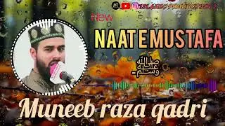 HEART WEARCHING NAAT E SHAREEF || KALAM E SHAYKH HAMI || BY MUNEEB RAZA QADRI 