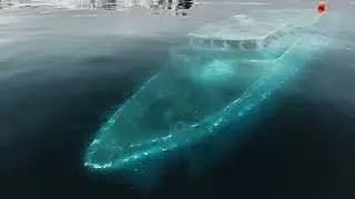 Irrational Fears & Phobias of Water That You May Have!