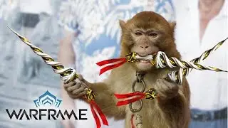 RED CRITS??? Spira Prime | Warframe (FirstLook)