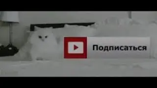 микусик :o     ROBLOX