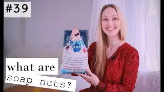 What are soap nuts?
