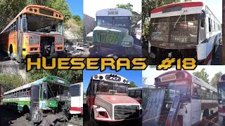 HUESERAS #18: RECORDANDO BUSES de ENERO desde la HUESERA de don MAURO ⌛🙏