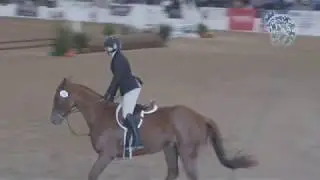 2019 Thoroughbred Makeover Finale: Show Hunter