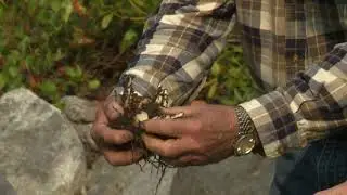 Dividing Plants with Bruce Richardson